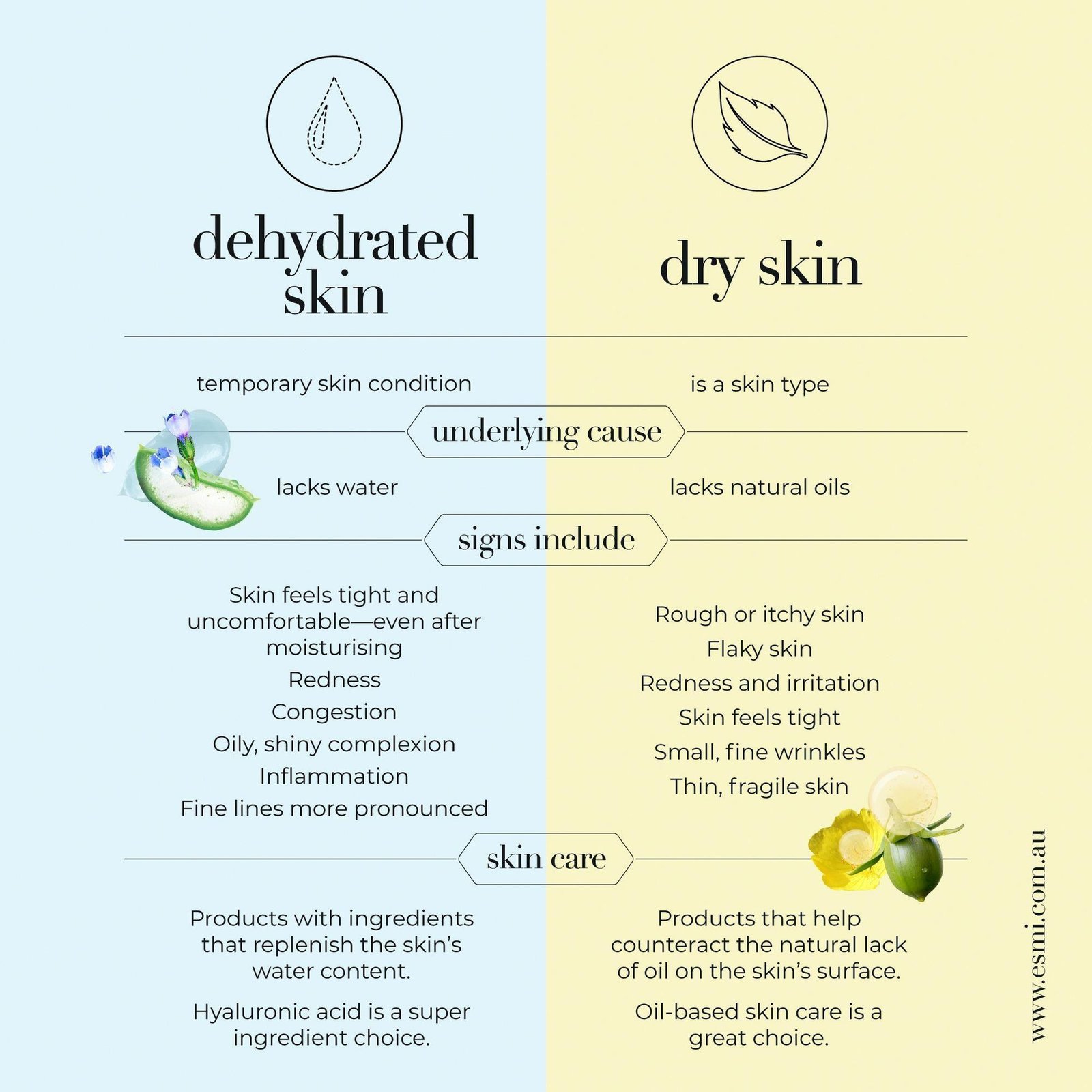 A Simple Routine for Oily but Dehydrated Skin